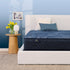 Serta Perfect Sleeper Cobalt Calm Plush Queen Mattress