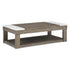 Loyaska Lift-Top Coffee Table