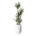 6.5′ Yucca Tree in White Resin Planter