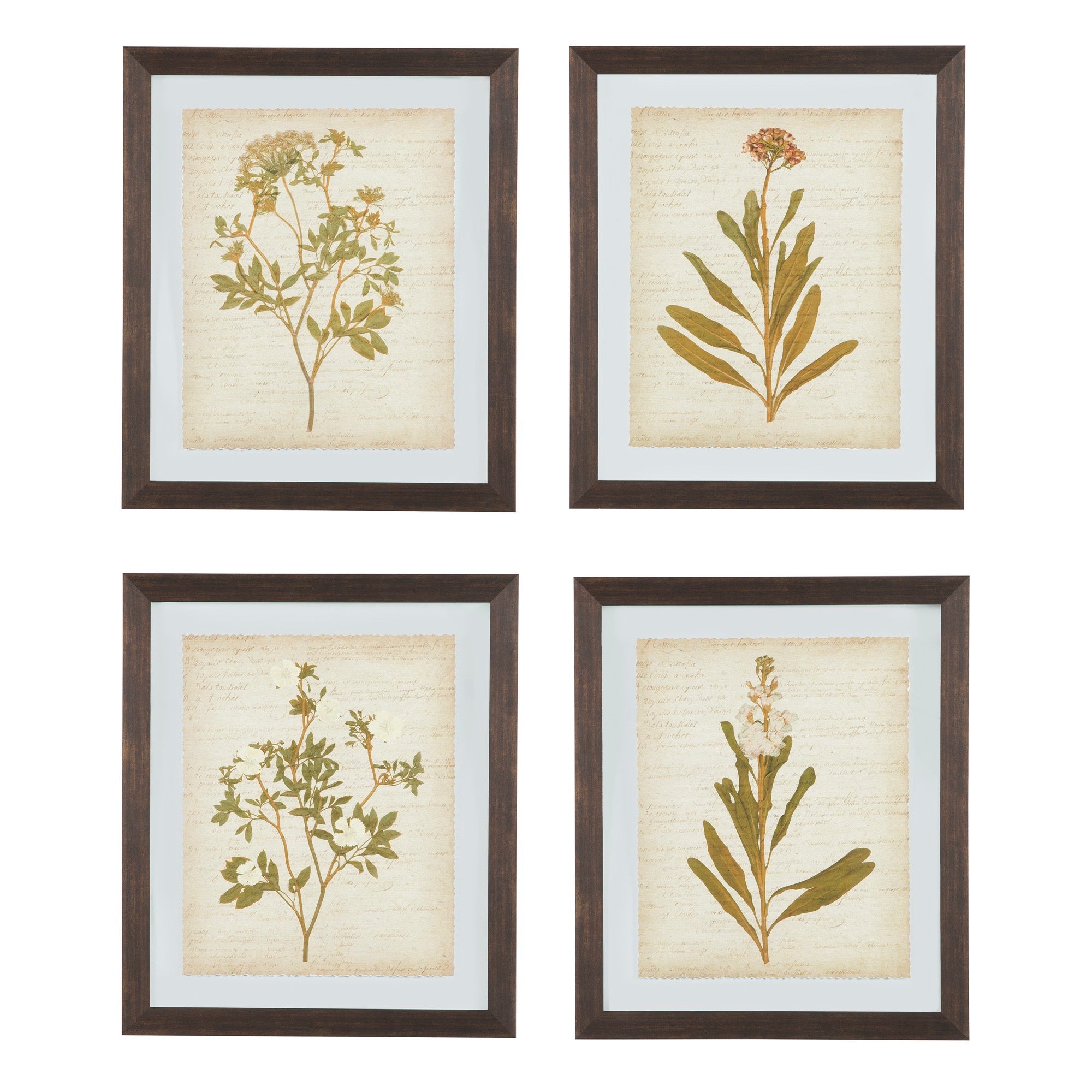 Dyani Wall Art (Set of 4)