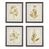 Dyani Wall Art (Set of 4)