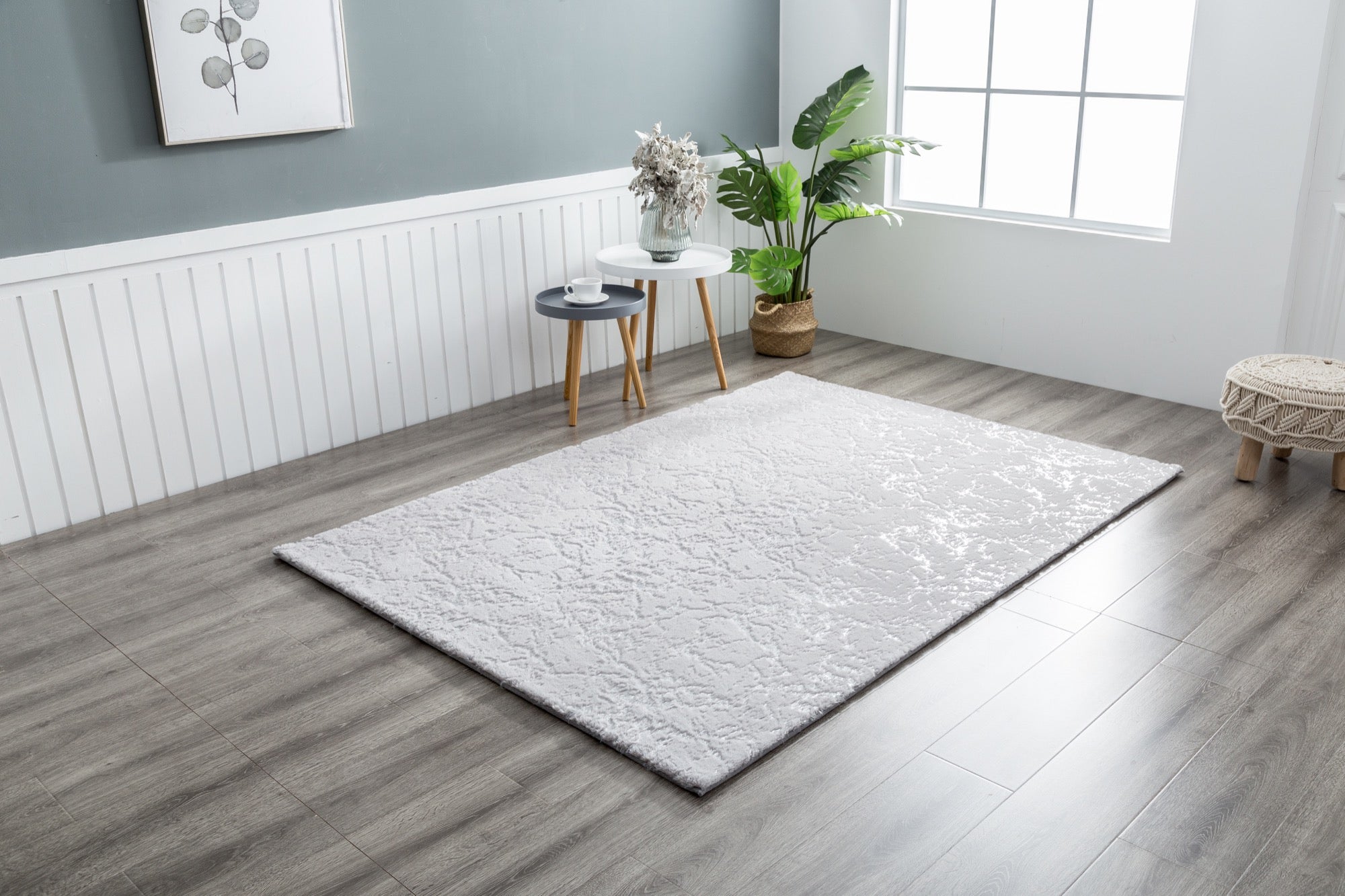 Chryso 5x7 Grey Area Rug